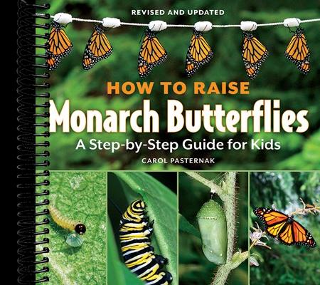How to Raise Monarch Butterflies: A Step-by-Step Guide for Kids
