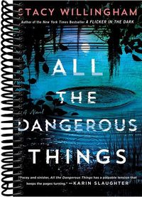 All the Dangerous Things: A Novel