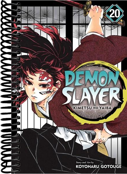 Demon Slayer: Kimetsu no Yaiba, Vol. 20