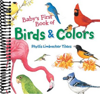 Baby's First Book of Birds & Colors
