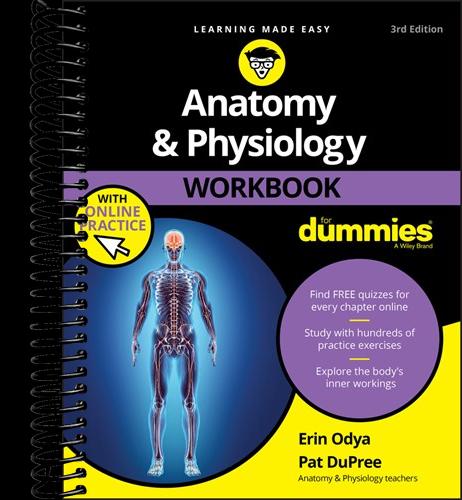 Anatomy & Physiology Workbook For Dummies with Online Practice  (3rd Edition)