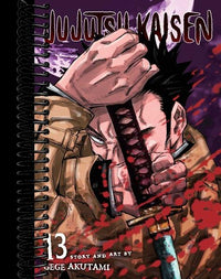 Jujutsu Kaisen, Vol. 13