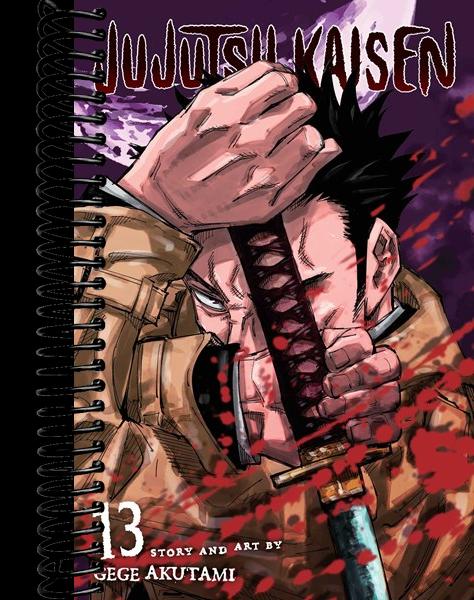 Jujutsu Kaisen, Vol. 13