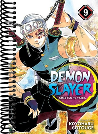 Demon Slayer: Kimetsu no Yaiba, Vol. 9 : Operation: Entertainment District