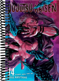 Jujutsu Kaisen, Vol. 14