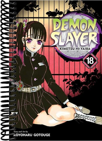 Demon Slayer: Kimetsu no Yaiba, Vol. 18