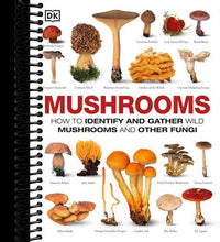 Mushrooms: How to Identify and Gather Wild Mushrooms and Other Fungi