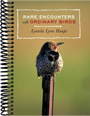 Rare Encounters with Ordinary Birds