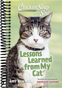 Chicken Soup for the Soul: Lessons Learned from My Cat : 101 Tales of Friendship and Fun